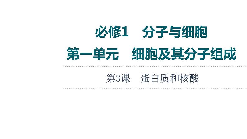 人教版高考生物一轮总复习必修1第1单元第3课蛋白质和核酸课件第1页