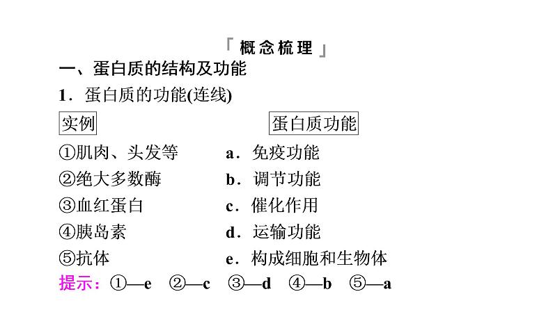 人教版高考生物一轮总复习必修1第1单元第3课蛋白质和核酸课件第5页