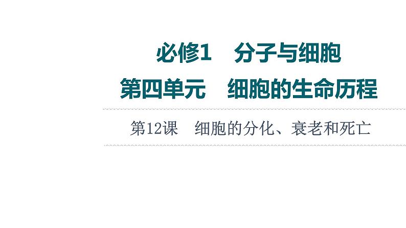 人教版高考生物一轮总复习必修1第4单元第12课细胞的分化、衰老和死亡课件01