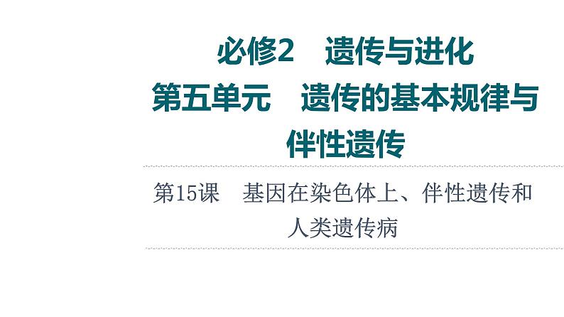 人教版高考生物一轮总复习必修2第5单元第15课基因在染色体上、伴性遗传和人类遗传病课件01