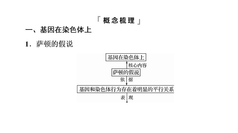 人教版高考生物一轮总复习必修2第5单元第15课基因在染色体上、伴性遗传和人类遗传病课件04