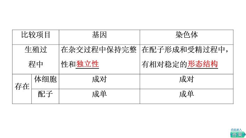 人教版高考生物一轮总复习必修2第5单元第15课基因在染色体上、伴性遗传和人类遗传病课件05