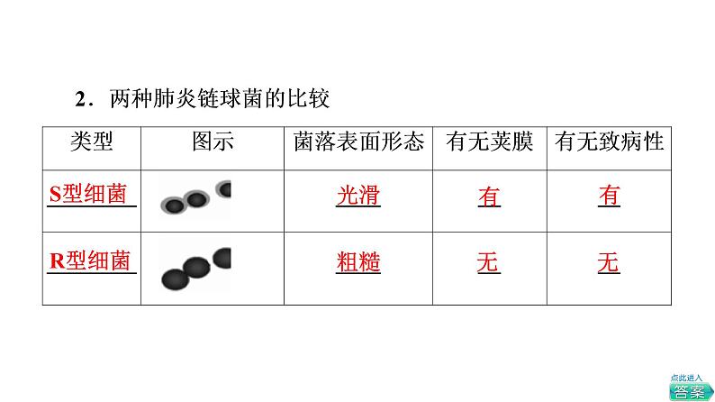 人教版高考生物一轮总复习必修2第6单元第16课DNA是主要的遗传物质课件第5页