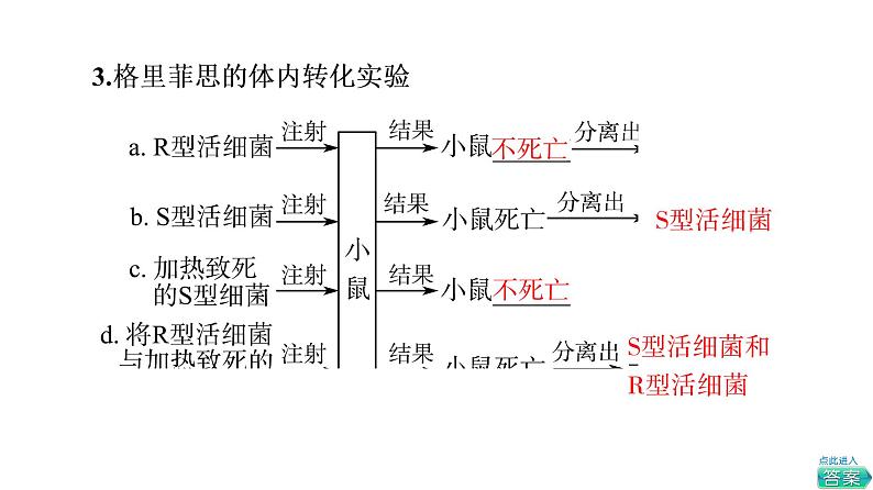 人教版高考生物一轮总复习必修2第6单元第16课DNA是主要的遗传物质课件第6页