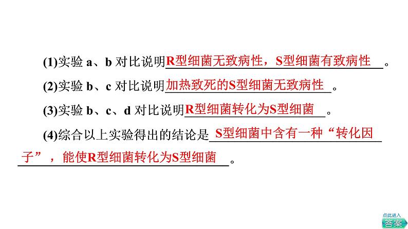 人教版高考生物一轮总复习必修2第6单元第16课DNA是主要的遗传物质课件第7页