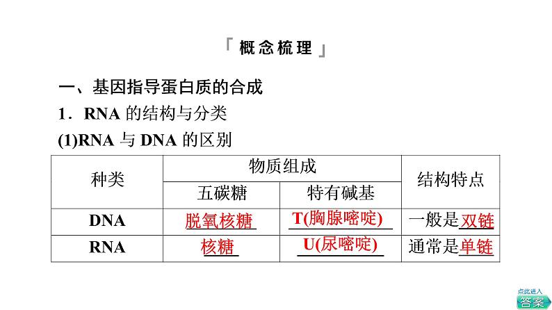 人教版高考生物一轮总复习必修2第6单元第18课基因的表达课件第4页