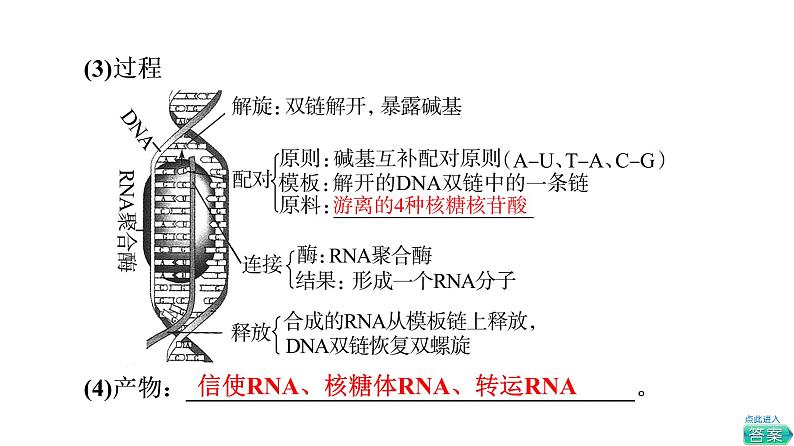 人教版高考生物一轮总复习必修2第6单元第18课基因的表达课件第7页