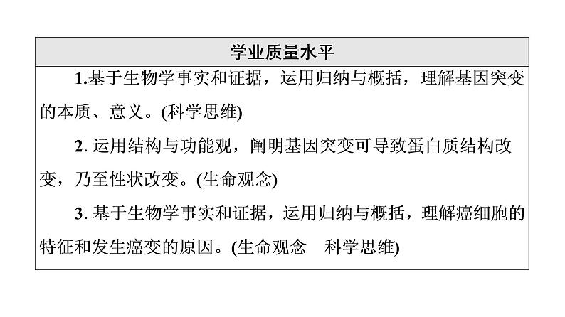 人教版高考生物一轮总复习必修2第7单元第19课基因突变和基因重组课件第4页