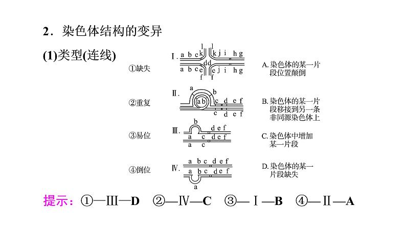 人教版高考生物一轮总复习必修2第7单元第20课染色体变异课件第8页