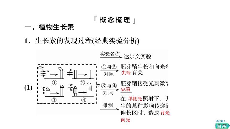 人教版高考生物一轮总复习选择性必修1第8单元第26课植物生命活动的调节课件06