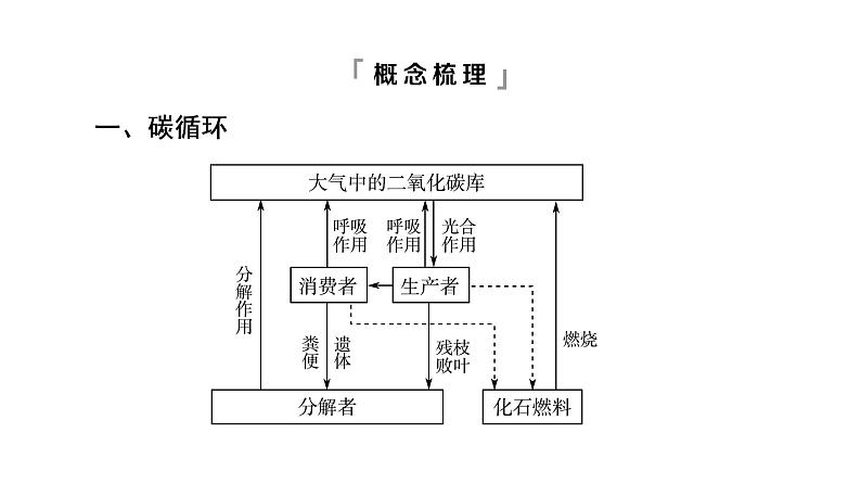 人教版高考生物一轮总复习选择性必修2第9单元第30课生态系统的物质循环课件第5页