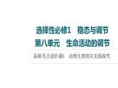 人教版高考生物一轮总复习选择性必修1第8单元高频考点进阶课6动物生理相关实验探究课件