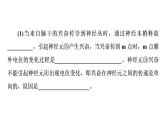 人教版高考生物一轮总复习选择性必修1第8单元高频考点进阶课6动物生理相关实验探究课件