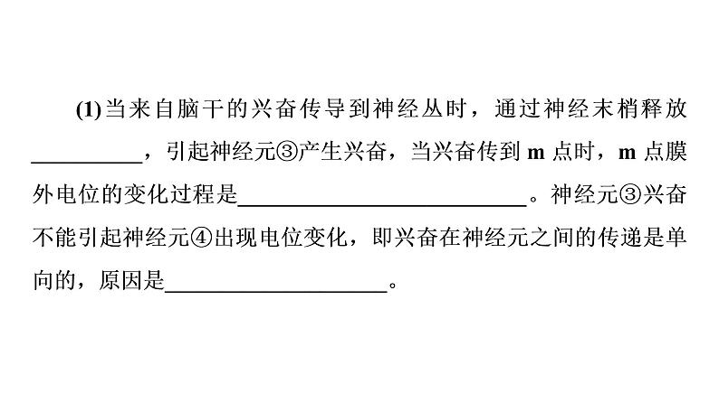 人教版高考生物一轮总复习选择性必修1第8单元高频考点进阶课6动物生理相关实验探究课件第4页