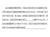 人教版高考生物一轮总复习选择性必修1第8单元高频考点进阶课6动物生理相关实验探究课件