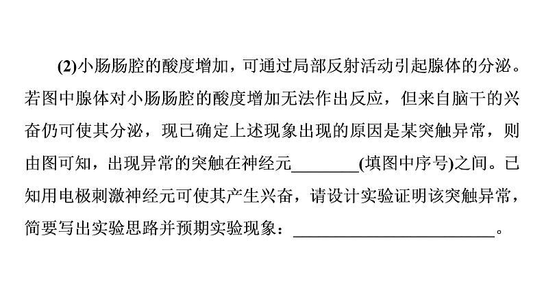 人教版高考生物一轮总复习选择性必修1第8单元高频考点进阶课6动物生理相关实验探究课件第5页