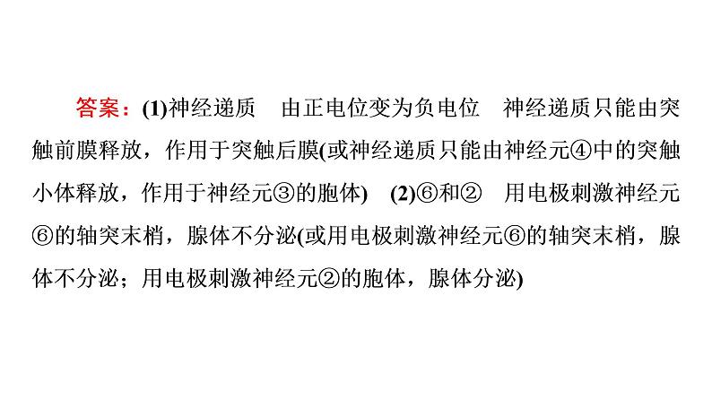 人教版高考生物一轮总复习选择性必修1第8单元高频考点进阶课6动物生理相关实验探究课件第8页