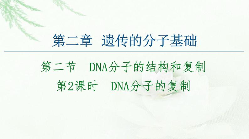 苏教版高中生物必修2第2章第2节第2课时DNA分子的复制课件第1页