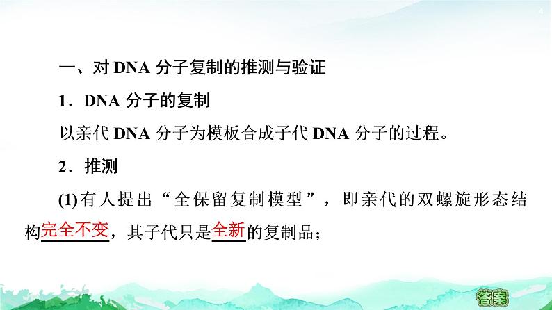 苏教版高中生物必修2第2章第2节第2课时DNA分子的复制课件第4页