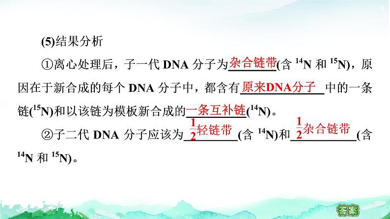 苏教版高中生物必修2第2章第2节第2课时DNA分子的复制课件第8页