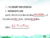 苏教版高中生物必修2第2章第3节第2课时中心法则、细胞分化及表观遗传课件