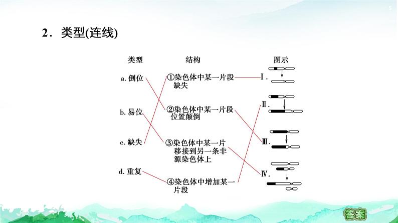 苏教版高中生物必修2第3章第1节染色体变异及其应用课件第5页