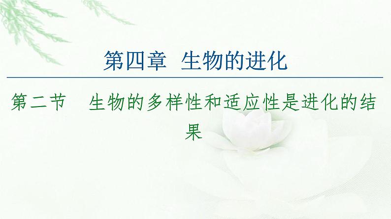 苏教版高中生物必修2第4章第2节生物的多样性和适应性是进化的结果课件01