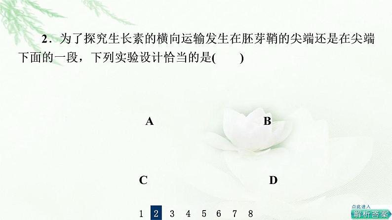 浙科版高中生物选择性必修1第5章素能提升课与生长素有关的实验设计和分析课件第8页