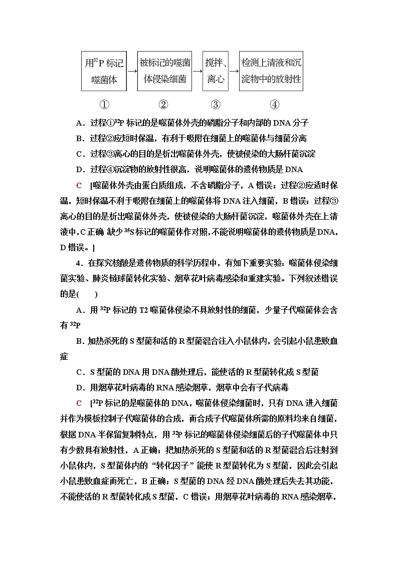 苏教版高中生物必修2阶段综合测评2遗传的分子基础含答案第2页