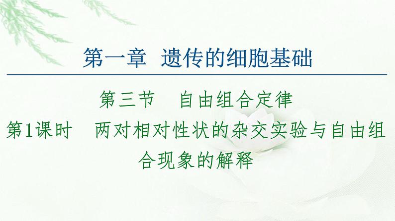 苏教版高中生物必修2第1章第3节第1课时两对相对性状的杂交实验与自由组合现象的解释课件01