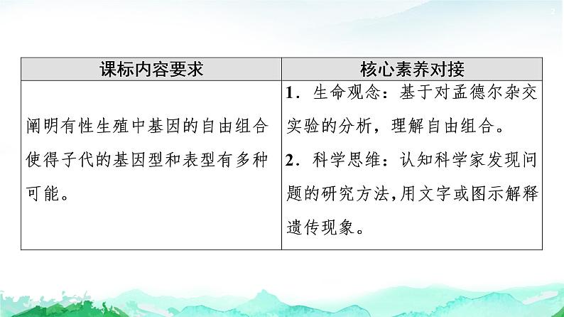 苏教版高中生物必修2第1章第3节第1课时两对相对性状的杂交实验与自由组合现象的解释课件02