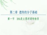 苏教版高中生物必修2第2章第1节DNA是主要的遗传物质课件