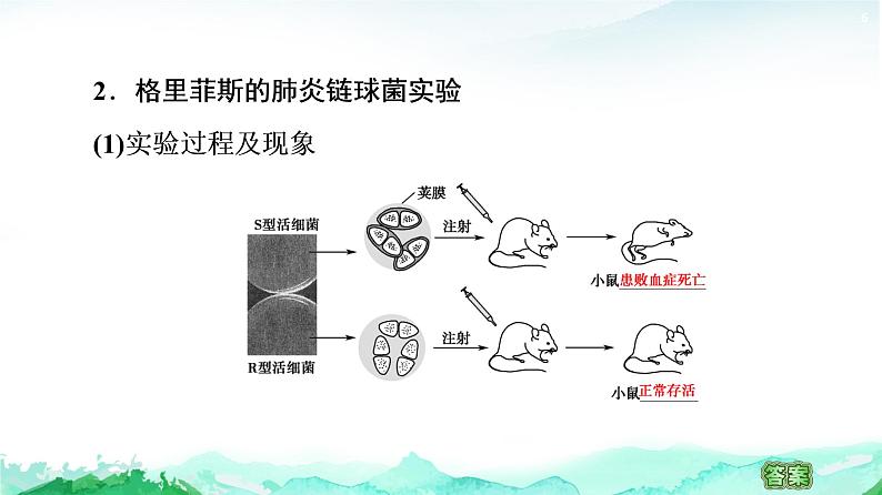 苏教版高中生物必修2第2章第1节DNA是主要的遗传物质课件06