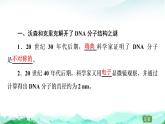 苏教版高中生物必修2第2章第2节第1课时DNA分子的结构课件