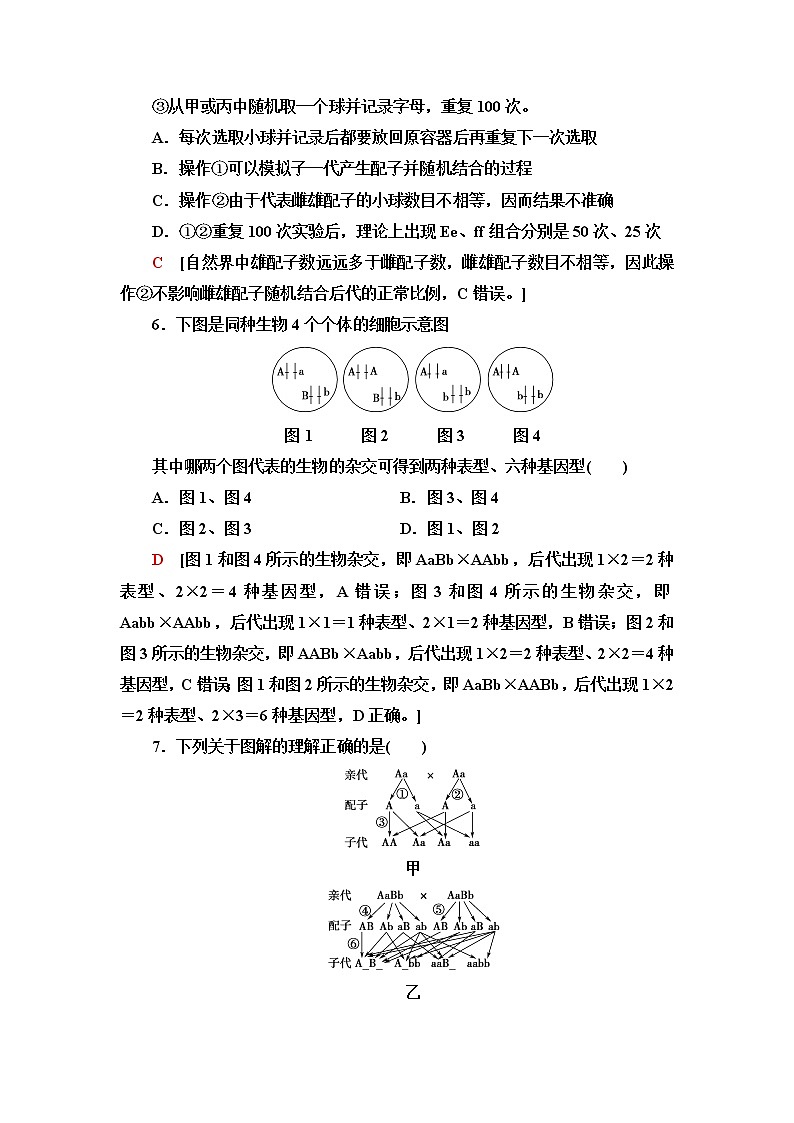 人教版高中生物必修2阶段综合测评1(第1～2章)含答案03