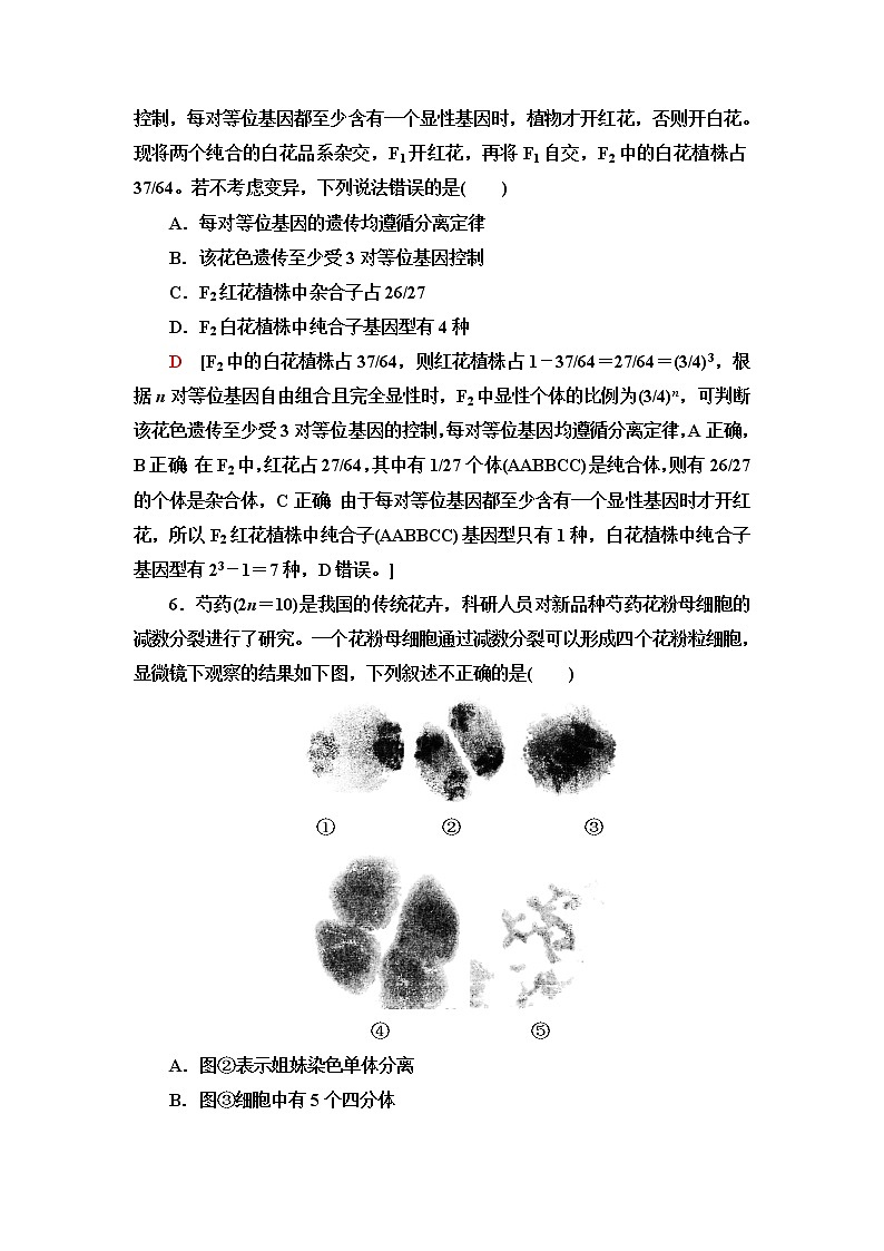 人教版高中生物必修2模块综合测评含答案第3页