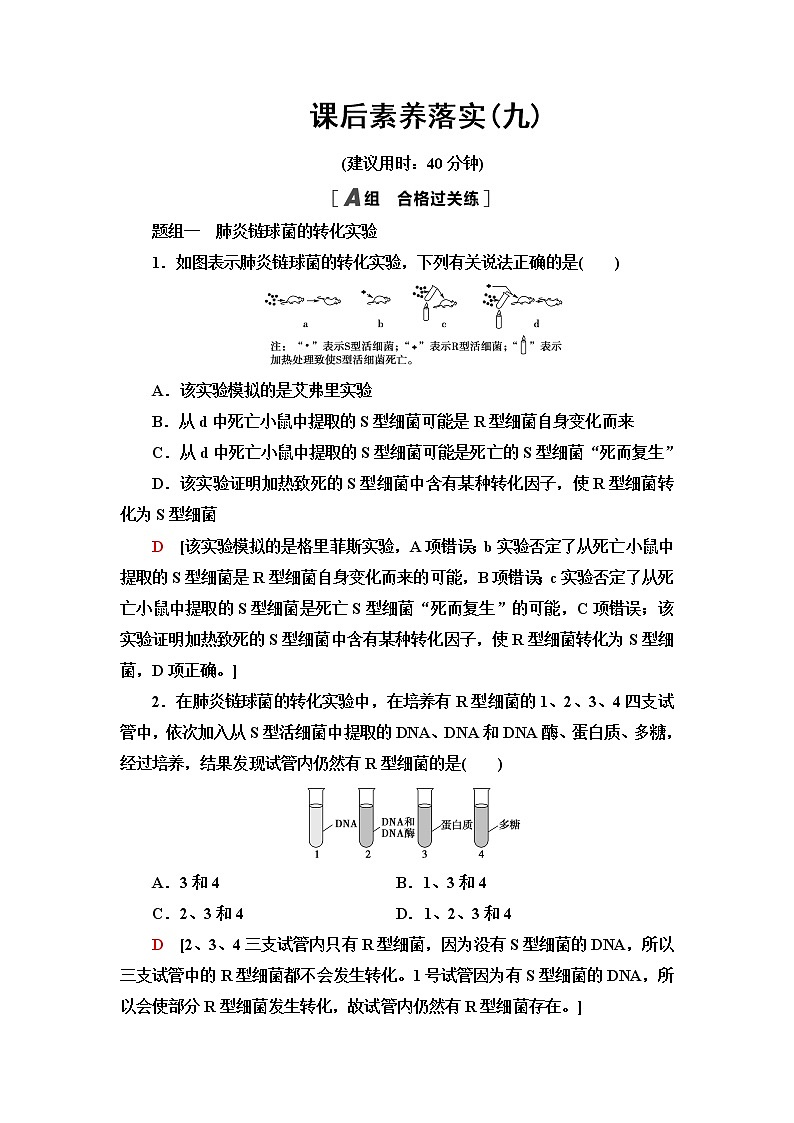 苏教版高中生物必修2课后素养落实9DNA是主要的遗传物质含答案 试卷01