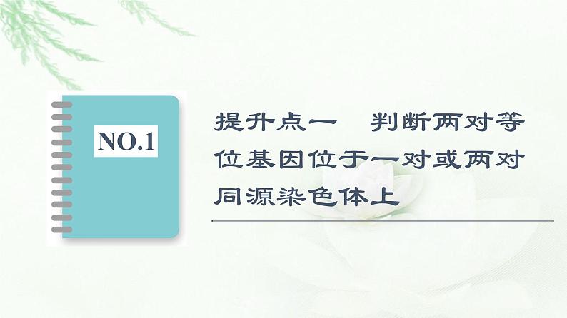 人教版高中生物必修2第2章第3节素能提升课确定基因在染色体上位置的实验设计课件02