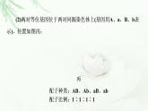 人教版高中生物必修2第2章第3节素能提升课确定基因在染色体上位置的实验设计课件