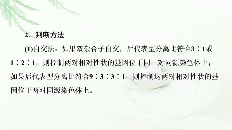 人教版高中生物必修2第2章第3节素能提升课确定基因在染色体上位置的实验设计课件05