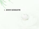 人教版高中生物必修2第5章第2节素能提升课有关变异类型的实验探究课件