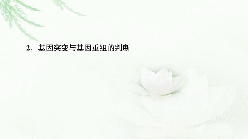 人教版高中生物必修2第5章第2节素能提升课有关变异类型的实验探究课件第4页