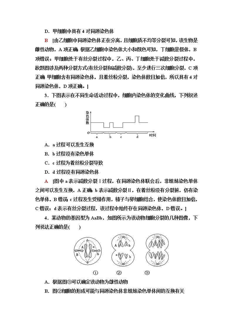 人教版高中生物必修2重点突破练2减数分裂与伴性遗传含答案第2页