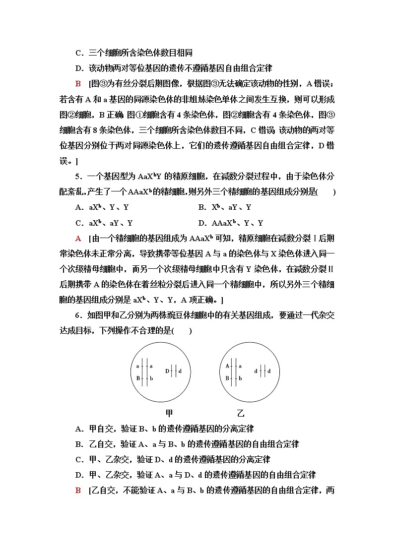 人教版高中生物必修2重点突破练2减数分裂与伴性遗传含答案第3页