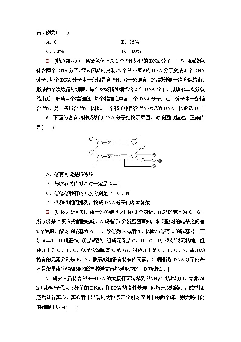 人教版高中生物必修2重点突破练3DNA是主要的遗传物质与DNA的结构和复制含答案03