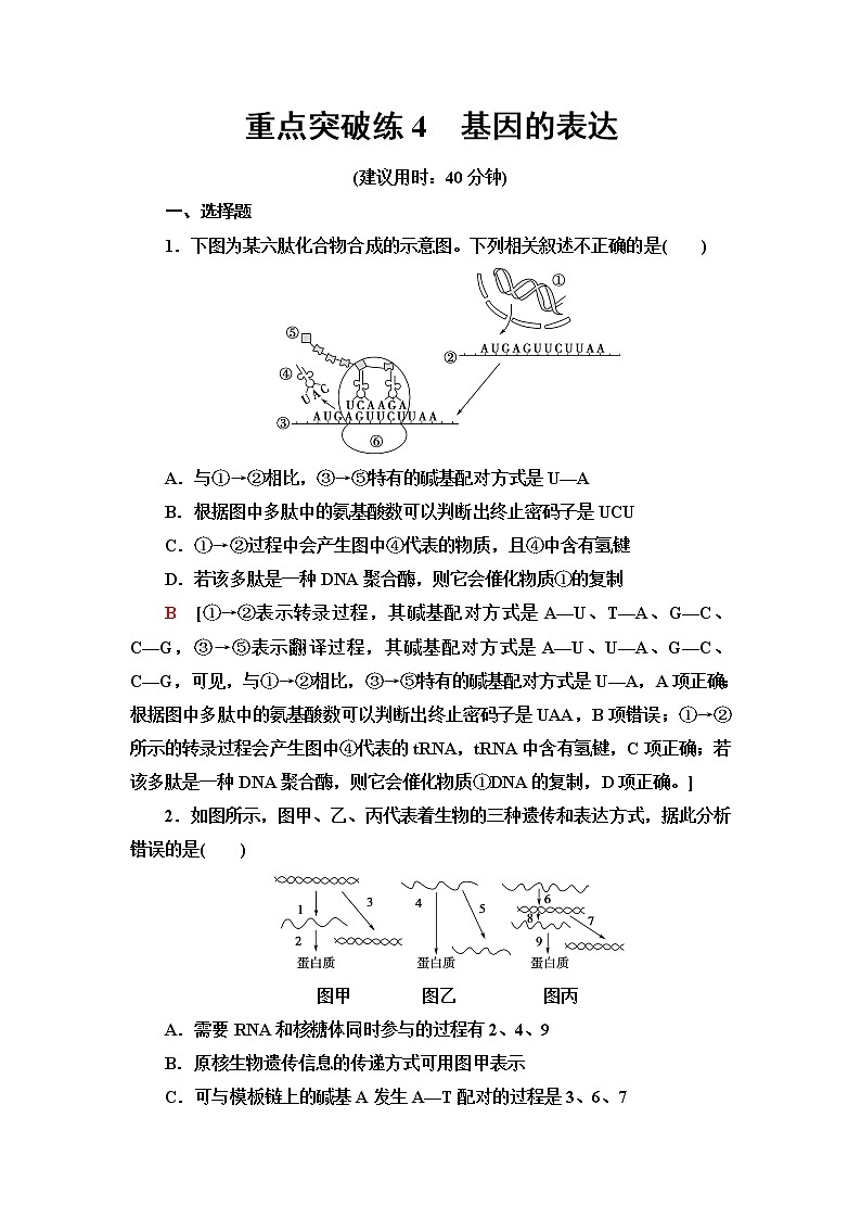 人教版高中生物必修2重点突破练4基因的表达含答案第1页