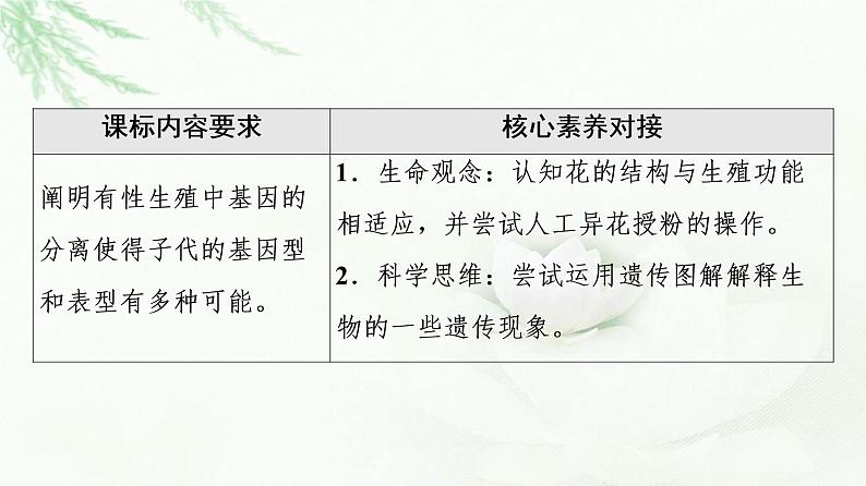 人教版高中生物必修2第1章第1节第1课时一对相对性状的杂交实验过程和解释课件02