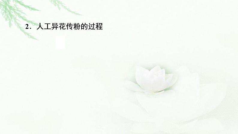 人教版高中生物必修2第1章第1节第1课时一对相对性状的杂交实验过程和解释课件05