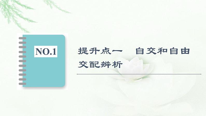 人教版高中生物必修2第1章第1节素能提升课分离定律的拓展和应用课件第2页