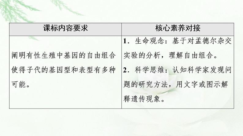 人教版高中生物必修2第1章第2节第1课时两对相对性状的杂交实验与自由组合现象的解释和验证课件第2页